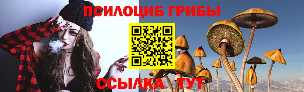 Псилоцибиновые грибы GOLDEN TEACHER  Вход с VPN  закладка  Ростов Великий 